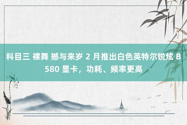 科目三 裸舞 撼与来岁 2 月推出白色英特尔锐炫 B580 显卡，功耗、频率更高