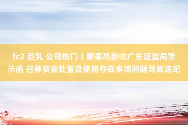 fc2 巨乳 公司热门｜蒙泰高新收广东证监局警示函 召募资金处置及使用存在多项问题导致违纪