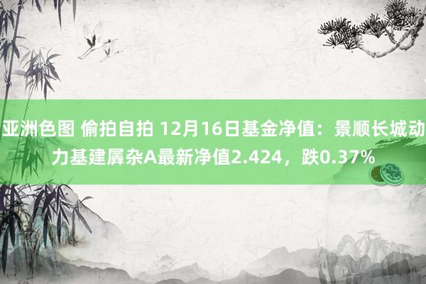 亚洲色图 偷拍自拍 12月16日基金净值：景顺长城动力基建羼杂A最新净值2.424，跌0.37%