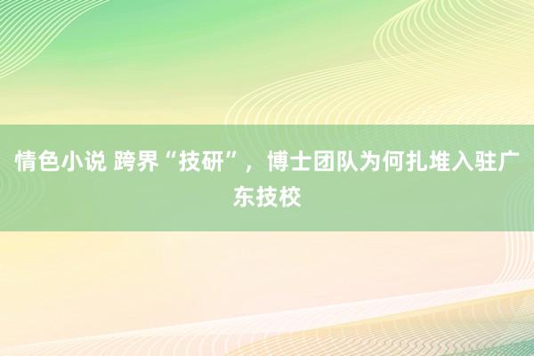 情色小说 跨界“技研”，博士团队为何扎堆入驻广东技校