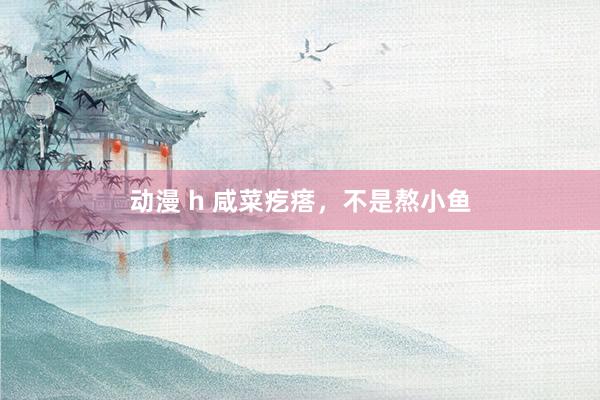 动漫 h 咸菜疙瘩，不是熬小鱼