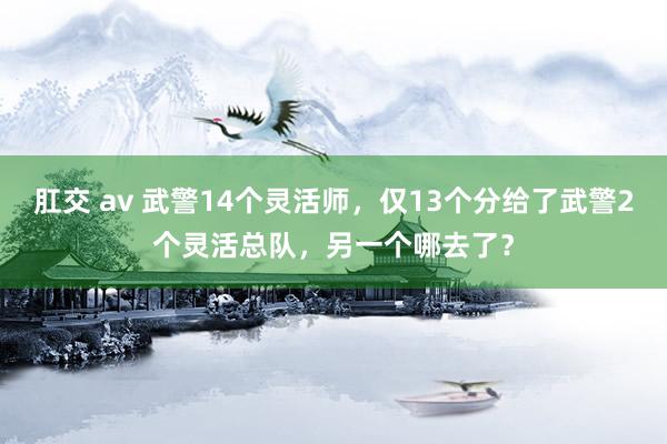 肛交 av 武警14个灵活师，仅13个分给了武警2个灵活总队，另一个哪去了？