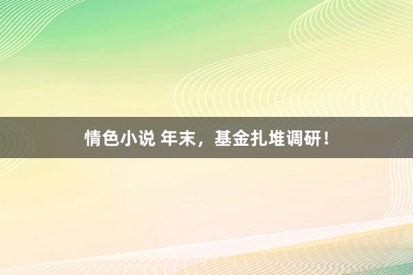 情色小说 年末，基金扎堆调研！