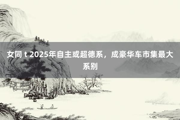 女同 t 2025年自主或超德系，成豪华车市集最大系别