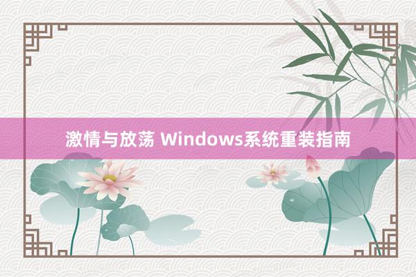 激情与放荡 Windows系统重装指南