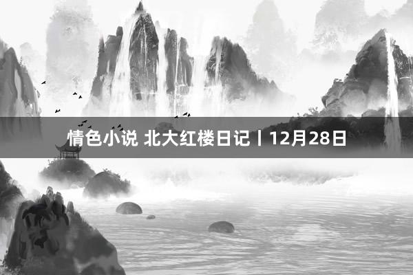 情色小说 北大红楼日记丨12月28日