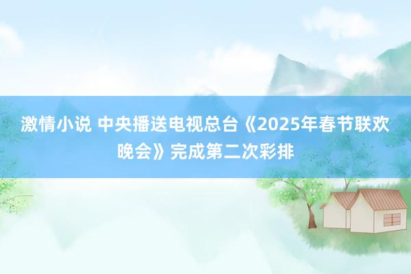 激情小说 中央播送电视总台《2025年春节联欢晚会》完成第二次彩排