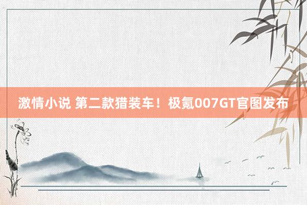 激情小说 第二款猎装车！极氪007GT官图发布