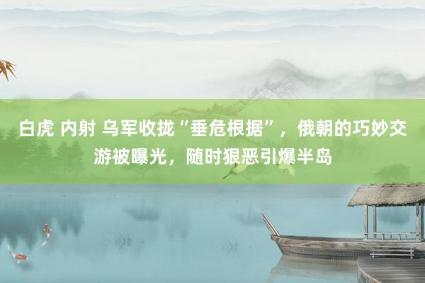 白虎 内射 乌军收拢“垂危根据”，俄朝的巧妙交游被曝光，随时狠恶引爆半岛