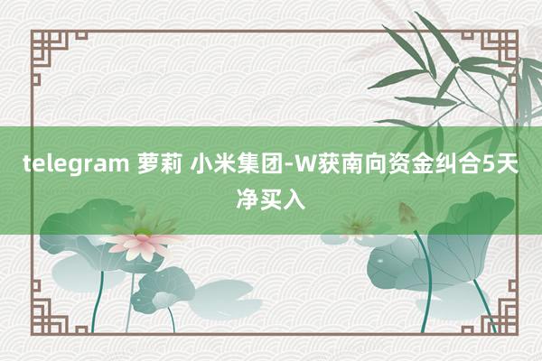 telegram 萝莉 小米集团-W获南向资金纠合5天净买入
