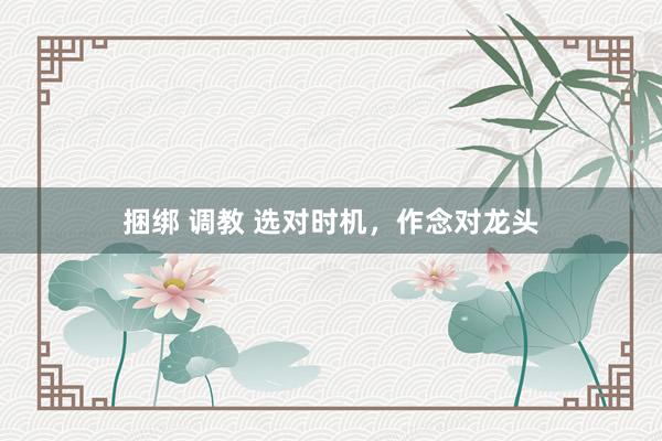 捆绑 调教 选对时机，作念对龙头