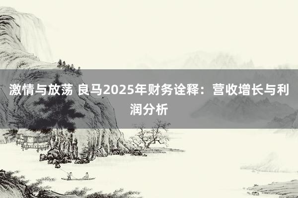 激情与放荡 良马2025年财务诠释：营收增长与利润分析