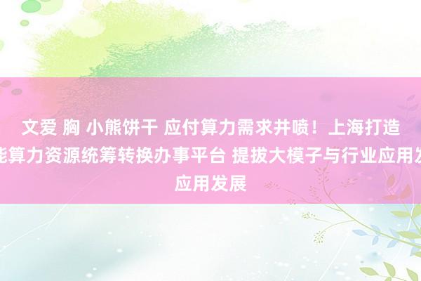 文爱 胸 小熊饼干 应付算力需求井喷！上海打造智能算力资源统筹转换办事平台 提拔大模子与行业应用发展