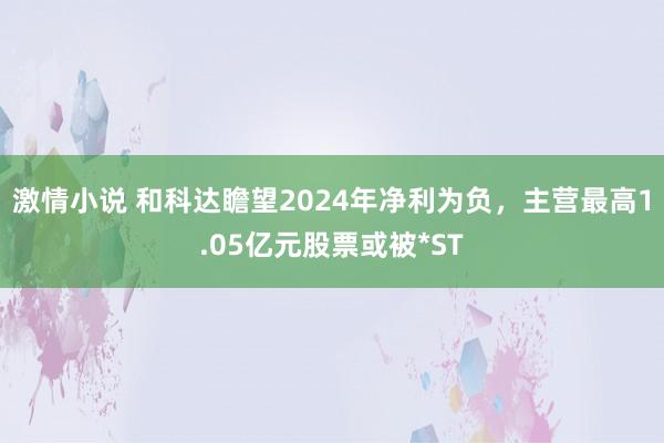 激情小说 和科达瞻望2024年净利为负，主营最高1.05亿元股票或被*ST