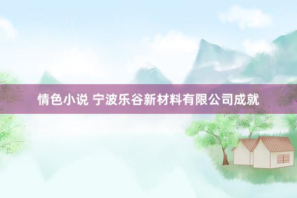 情色小说 宁波乐谷新材料有限公司成就