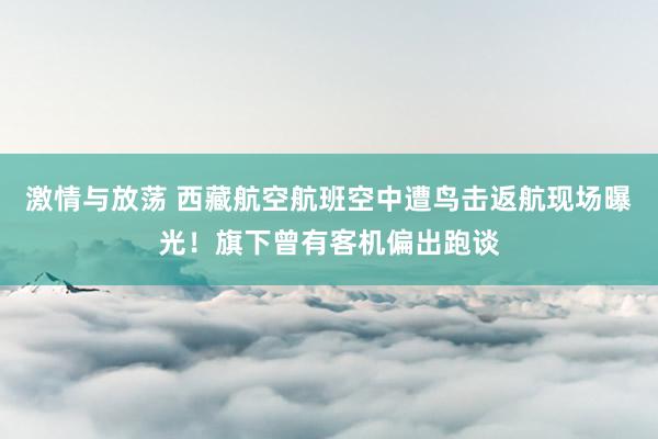 激情与放荡 西藏航空航班空中遭鸟击返航现场曝光！旗下曾有客机偏出跑谈