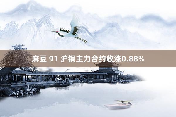 麻豆 91 沪铜主力合约收涨0.88%
