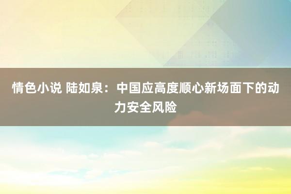 情色小说 陆如泉：中国应高度顺心新场面下的动力安全风险