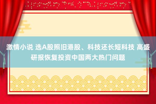 激情小说 选A股照旧港股、科技还长短科技 高盛研报恢复投资中国两大热门问题