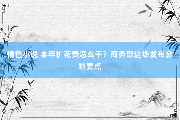 情色小说 本年扩花费怎么干？商务部这场发布会划要点