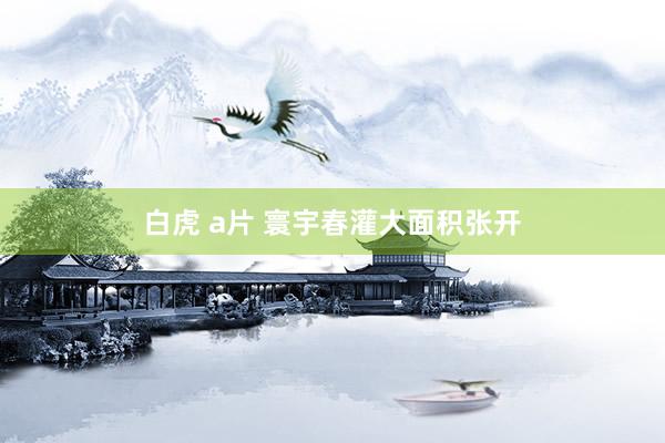 白虎 a片 寰宇春灌大面积张开