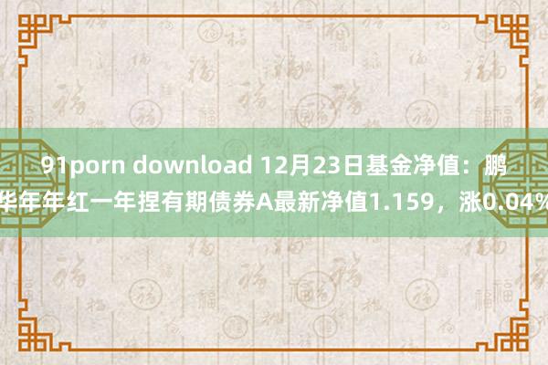 91porn download 12月23日基金净值：鹏华年年红一年捏有期债券A最新净值1.159，涨0.04%