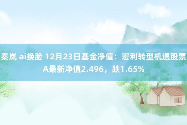 秦岚 ai换脸 12月23日基金净值：宏利转型机遇股票A最新净值2.496，跌1.65%