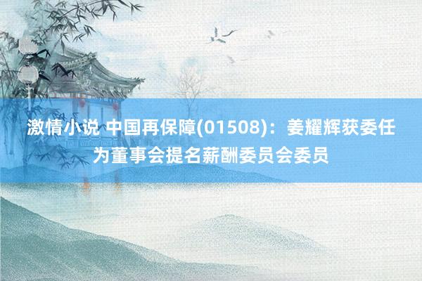 激情小说 中国再保障(01508)：姜耀辉获委任为董事会提名薪酬委员会委员
