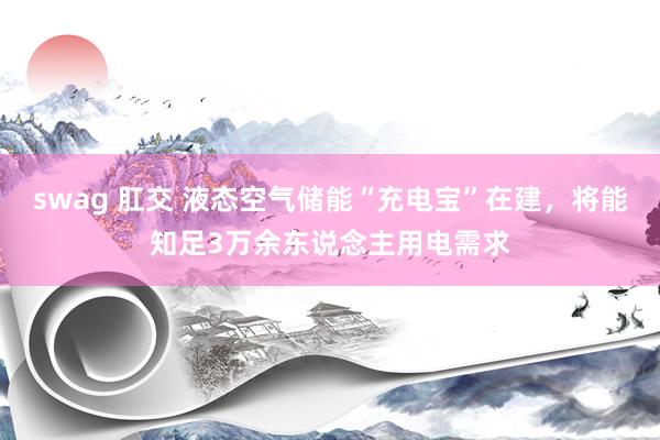swag 肛交 液态空气储能“充电宝”在建，将能知足3万余东说念主用电需求