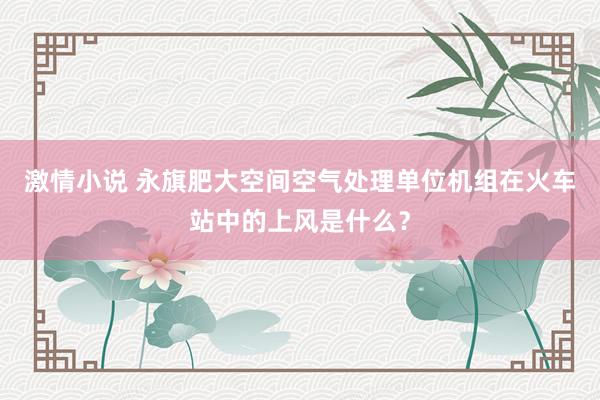 激情小说 永旗肥大空间空气处理单位机组在火车站中的上风是什么？