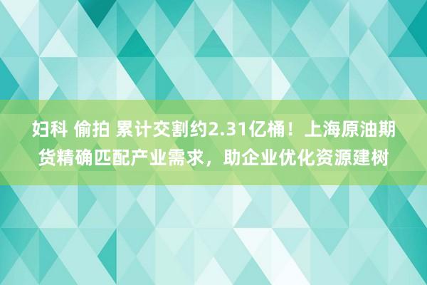 妇科 偷拍 累计交割约2.31亿桶！上海原油期货精确匹配产业需求，助企业优化资源建树
