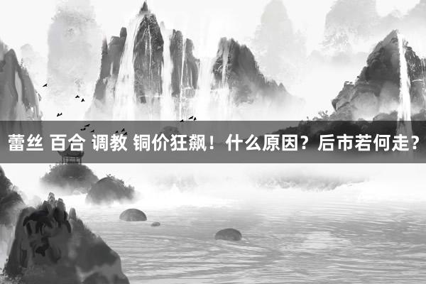 蕾丝 百合 调教 铜价狂飙！什么原因？后市若何走？