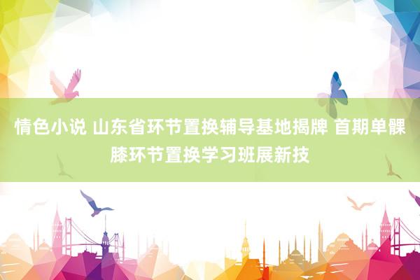情色小说 山东省环节置换辅导基地揭牌 首期单髁膝环节置换学习班展新技
