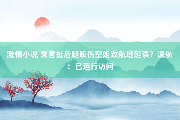 激情小说 乘客扯后腿咬伤空姐致航班延误？深航：已运行访问