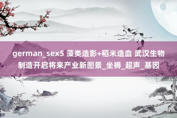 german_sex5 藻类造影+稻米造血 武汉生物制造开启将来产业新图景_坐褥_超声_基因