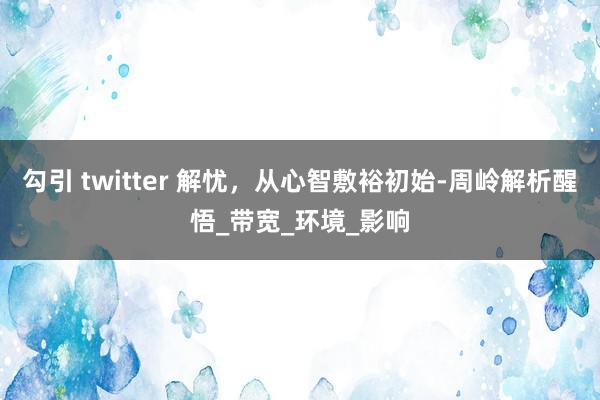勾引 twitter 解忧，从心智敷裕初始-周岭解析醒悟_带宽_环境_影响