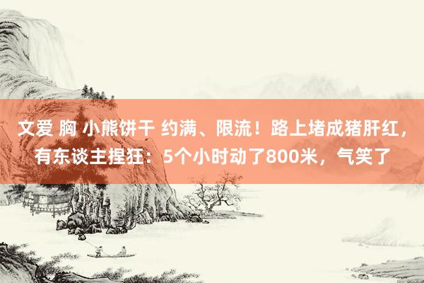 文爱 胸 小熊饼干 约满、限流！路上堵成猪肝红，有东谈主捏狂：5个小时动了800米，气笑了
