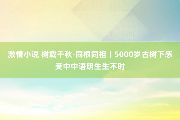 激情小说 树载千秋·同根同祖丨5000岁古树下感受中中语明生生不时