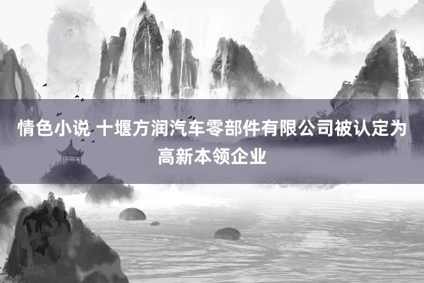 情色小说 十堰方润汽车零部件有限公司被认定为高新本领企业