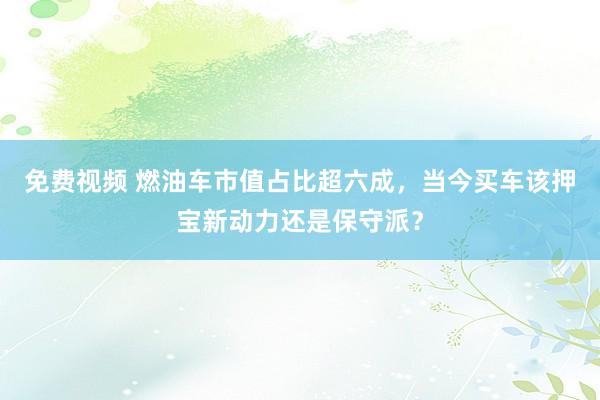 免费视频 燃油车市值占比超六成，当今买车该押宝新动力还是保守派？