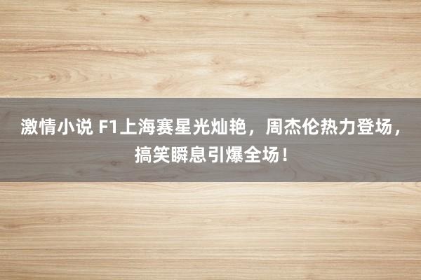 激情小说 F1上海赛星光灿艳，周杰伦热力登场，搞笑瞬息引爆全场！