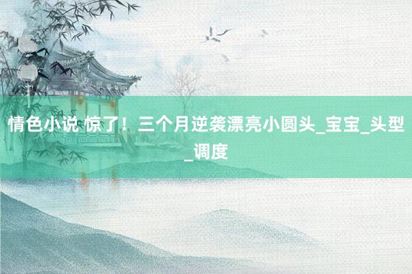 情色小说 惊了！三个月逆袭漂亮小圆头_宝宝_头型_调度