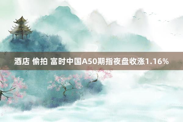 酒店 偷拍 富时中国A50期指夜盘收涨1.16%