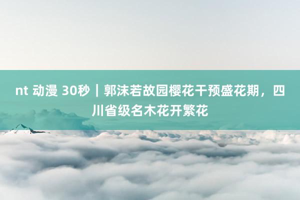 nt 动漫 30秒｜郭沫若故园樱花干预盛花期，四川省级名木花开繁花