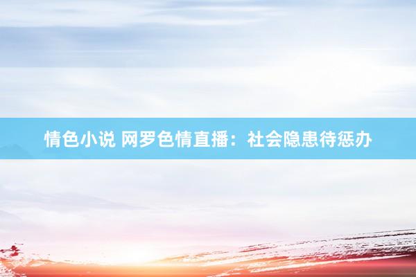 情色小说 网罗色情直播：社会隐患待惩办