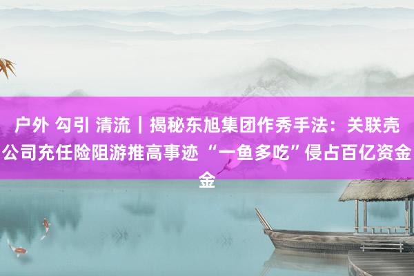 户外 勾引 清流｜揭秘东旭集团作秀手法：关联壳公司充任险阻游推高事迹 “一鱼多吃”侵占百亿资金