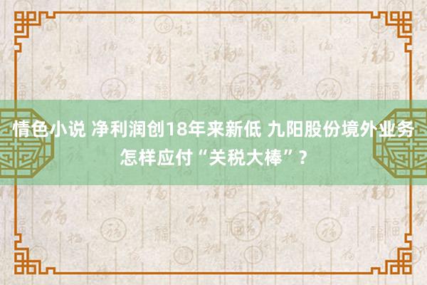 情色小说 净利润创18年来新低 九阳股份境外业务怎样应付“关税大棒”？