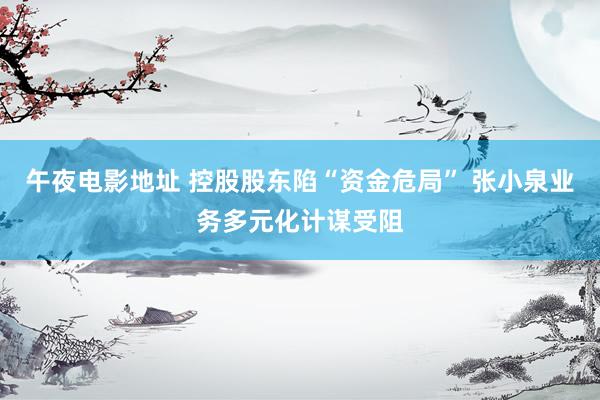 午夜电影地址 控股股东陷“资金危局” 张小泉业务多元化计谋受阻