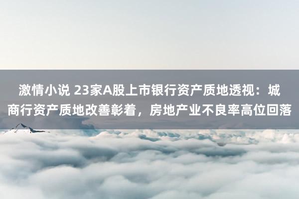 激情小说 23家A股上市银行资产质地透视：城商行资产质地改善彰着，房地产业不良率高位回落