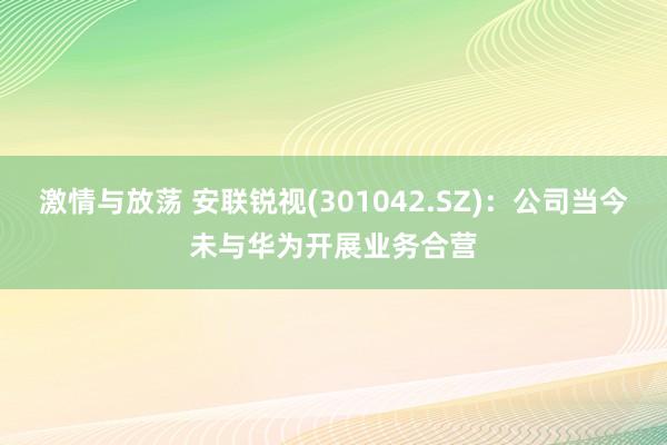 激情与放荡 安联锐视(301042.SZ)：公司当今未与华为开展业务合营